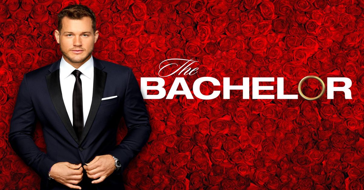 The Bachelor Season 20 Torrent